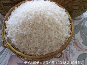 タイ産ジャポニカ米の開発（タイ）